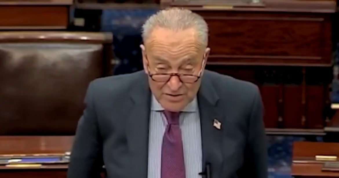 Shock Admission: Democrats Say They Won’t End Schumer Shutdown Until ‘Planes Are Falling Out of the Sky’