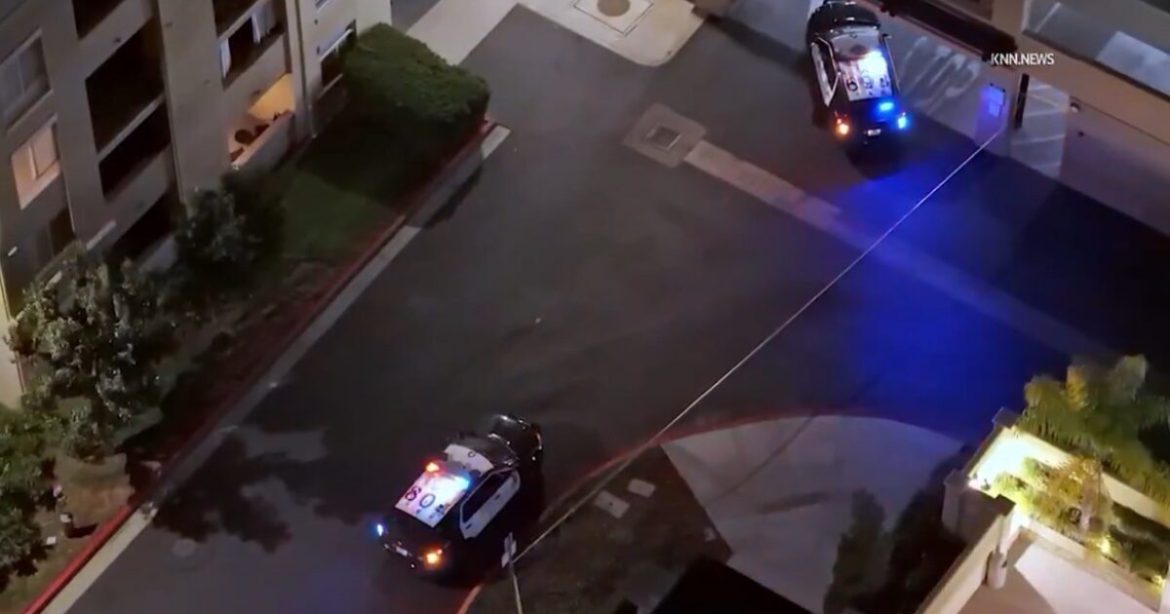 Mitt Romney’s Brother Was Fighting to Make Sure Estranged Wife Was Awarded NOTHING in Bitter Divorce Battle Just Months Before She Plunged to Her Death